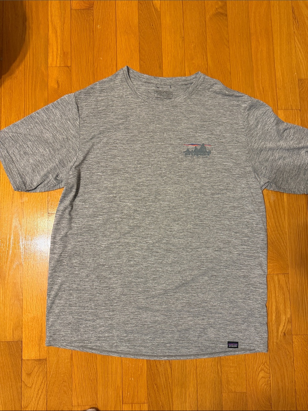 Patagonia Short-Sleeve T-shirt